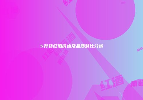 5升装红酒价格及品质对比分析