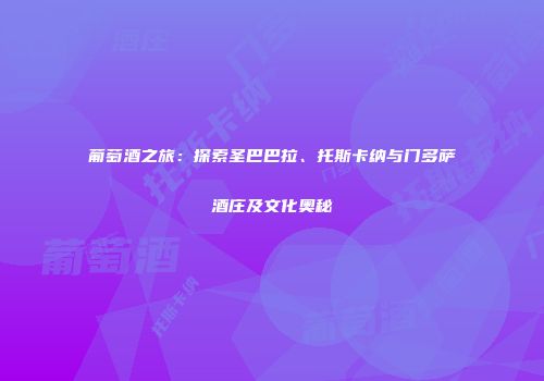 葡萄酒之旅：探索圣巴巴拉、托斯卡纳与门多萨酒庄及文化奥秘