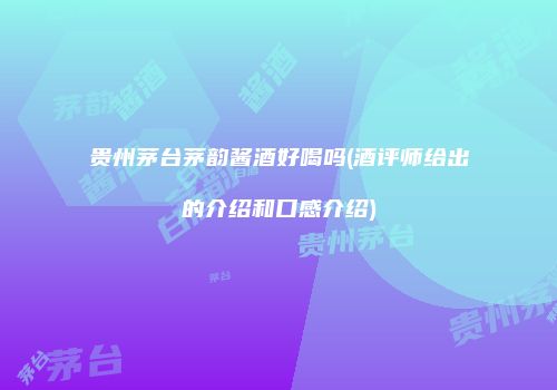 贵州茅台茅韵酱酒好喝吗(酒评师给出的介绍和口感介绍)