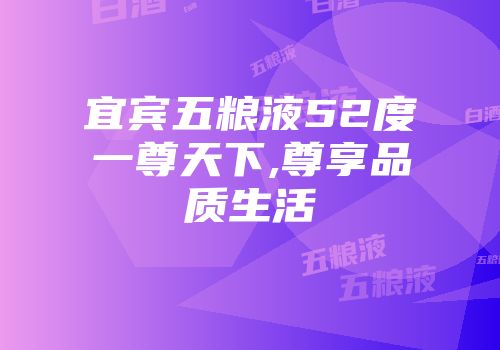 宜宾五粮液52度一尊天下,尊享品质生活