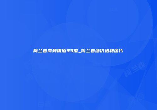 梅兰春商务用酒53度_梅兰春酒价格和图片
