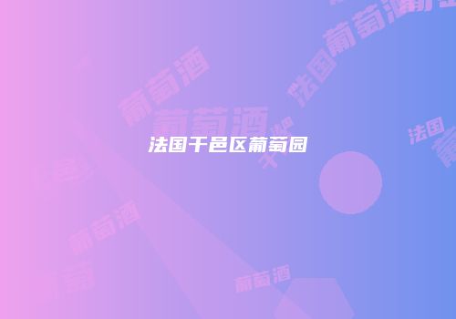法国干邑区葡萄园