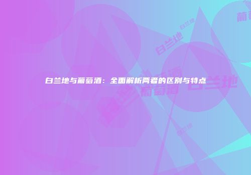 白兰地与葡萄酒：全面解析两者的区别与特点