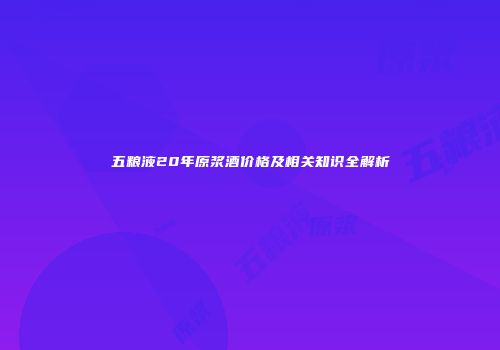 五粮液20年原浆酒价格及相关知识全解析