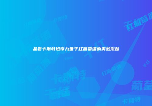 品尝卡斯特班帝九世干红葡萄酒的美妙滋味