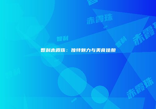 智利赤霞珠：独特魅力与美食佳酿