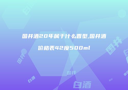 国井酒20年属于什么香型,国井酒价格表42度500ml