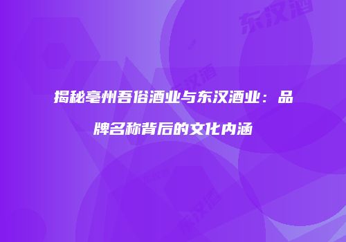 揭秘亳州吾俗酒业与东汉酒业：品牌名称背后的文化内涵