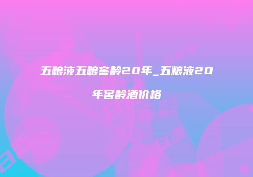 五粮液五粮窖龄20年_五粮液20年窖龄酒价格