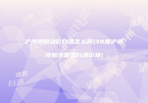 泸州特酿动彩白酒怎么样(38度泸州特酿浓香型白酒价格)