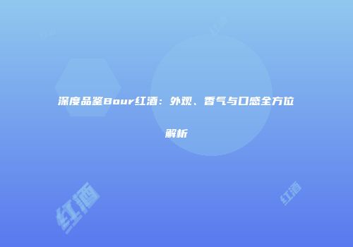 深度品鉴Bour红酒：外观、香气与口感全方位解析