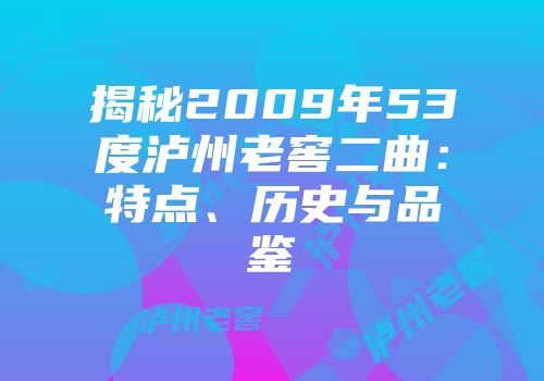 揭秘2009年53度泸州老窖二曲：特点、历史与品鉴