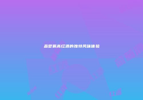 品尝佩高红酒的独特风味体验