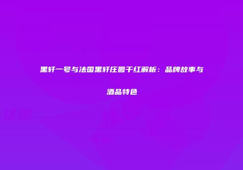 黑轩一号与法国黑轩庄园干红解析：品牌故事与酒品特色