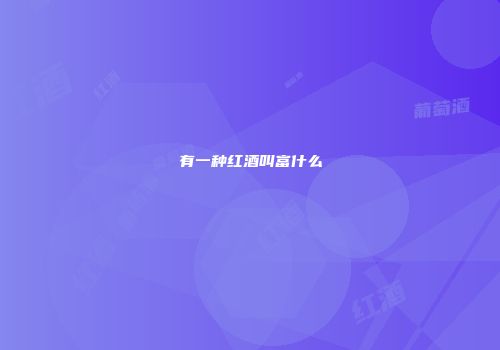 有一种红酒叫富什么