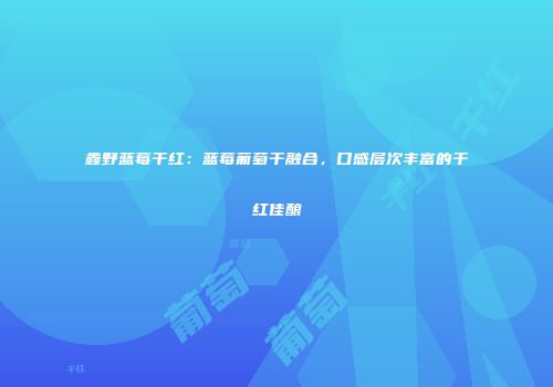 鑫野蓝莓干红：蓝莓葡萄干融合，口感层次丰富的干红佳酿
