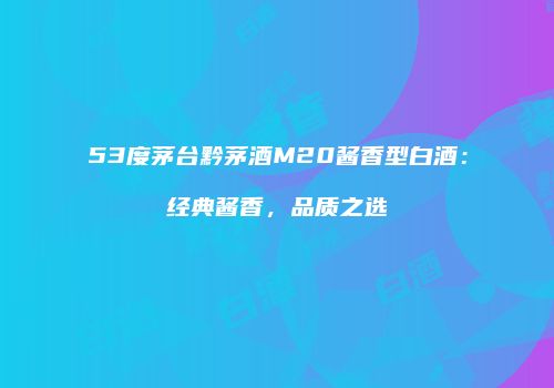 53度茅台黔茅酒M20酱香型白酒：经典酱香，品质之选