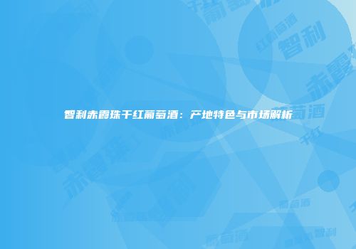 智利赤霞珠干红葡萄酒：产地特色与市场解析