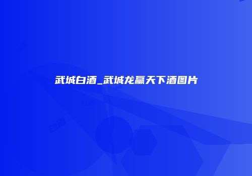 武城白酒_武城龙赢天下酒图片