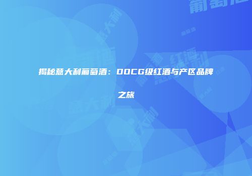 揭秘意大利葡萄酒：DOCG级红酒与产区品牌之旅