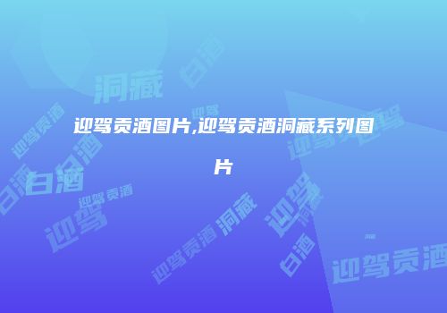 迎驾贡酒图片,迎驾贡酒洞藏系列图片