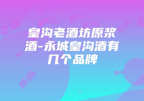 皇沟老酒坊原浆酒-永城皇沟酒有几个品牌