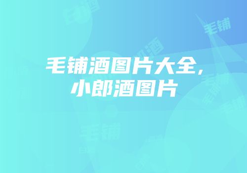 毛铺酒图片大全,小郎酒图片