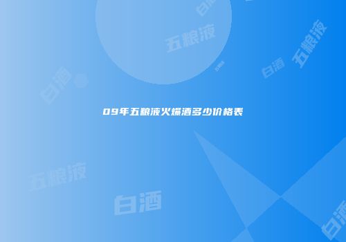 09年五粮液火爆酒多少价格表