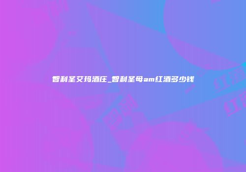 智利圣艾玛酒庄_智利圣母am红酒多少钱