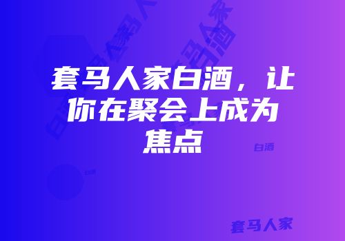 套马人家白酒，让你在聚会上成为焦点