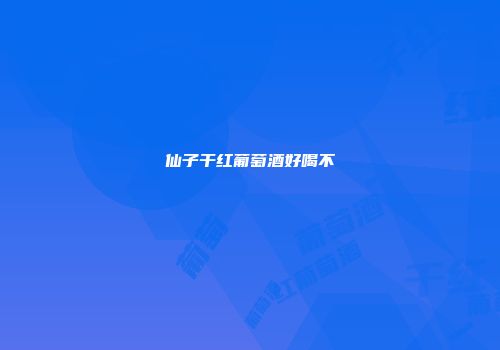 仙子干红葡萄酒好喝不