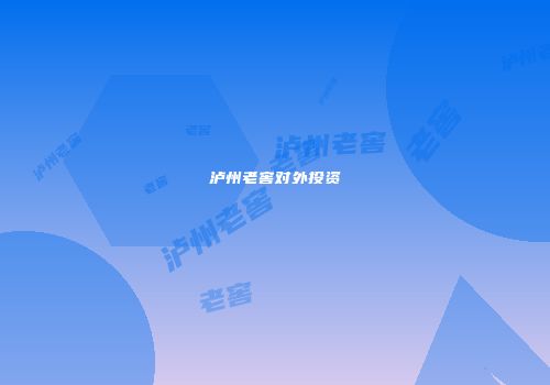 泸州老窖对外投资