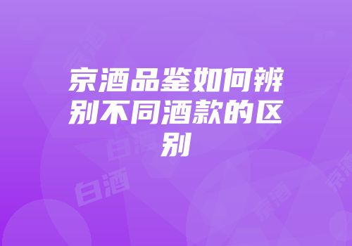 京酒品鉴如何辨别不同酒款的区别