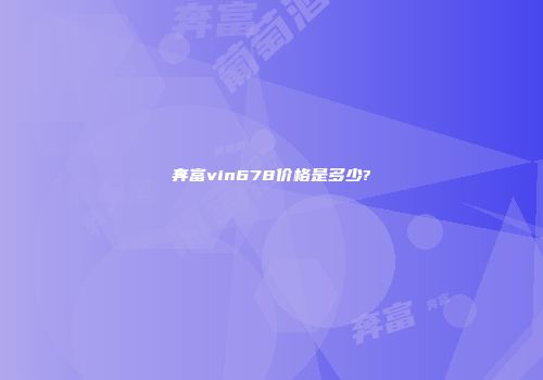 奔富vin678价格是多少?