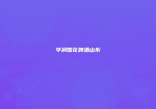 华润雪花啤酒山东