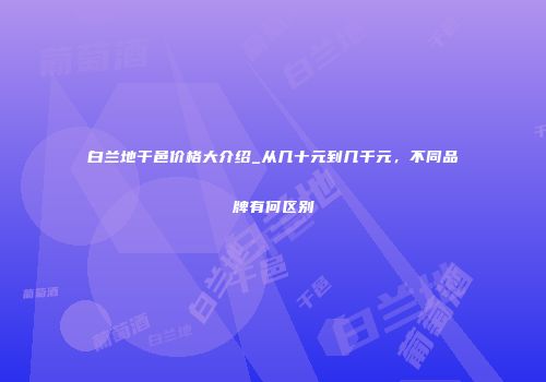 白兰地干邑价格大介绍_从几十元到几千元，不同品牌有何区别