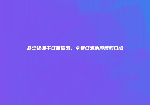 品尝银师干红葡萄酒，享受红酒的醇香和口感