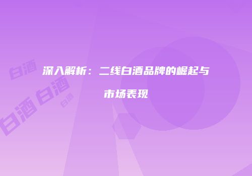 深入解析：二线白酒品牌的崛起与市场表现