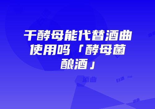 干酵母能代替酒曲使用吗「酵母菌酿酒」
