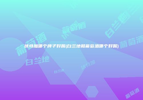 伏特加哪个牌子好喝(白兰地和葡萄酒哪个好喝)