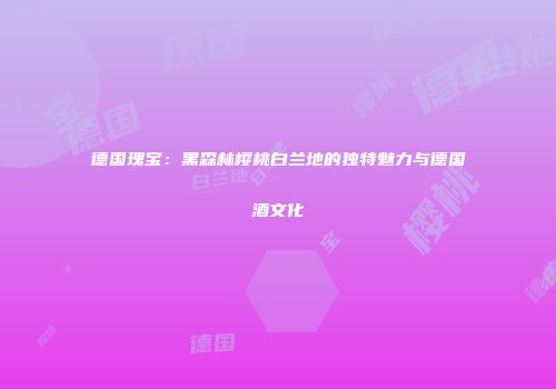 德国瑰宝：黑森林樱桃白兰地的独特魅力与德国酒文化