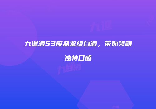 九暹酒53度品鉴级白酒，带你领略独特口感