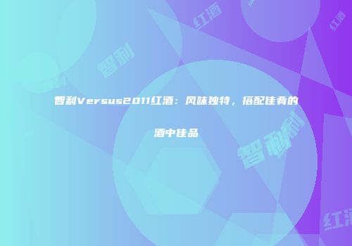 智利Versus2011红酒：风味独特，搭配佳肴的酒中佳品