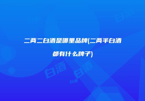二两二白酒是哪里品牌(二两半白酒都有什么牌子)