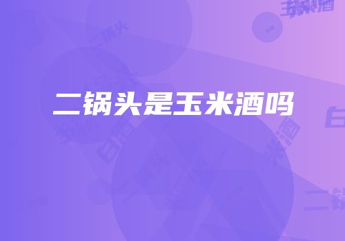 二锅头是玉米酒吗