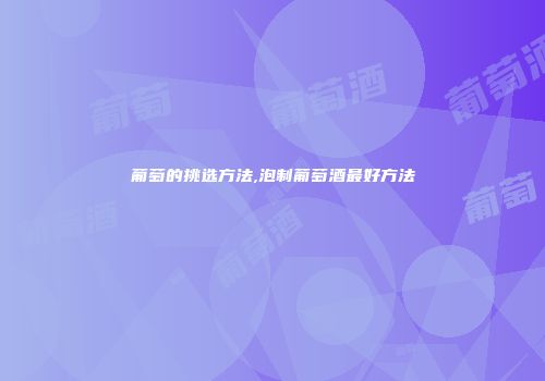葡萄的挑选方法,泡制葡萄酒最好方法