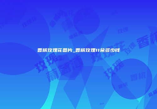 香槟玫瑰花图片_香槟玫瑰11朵多少钱
