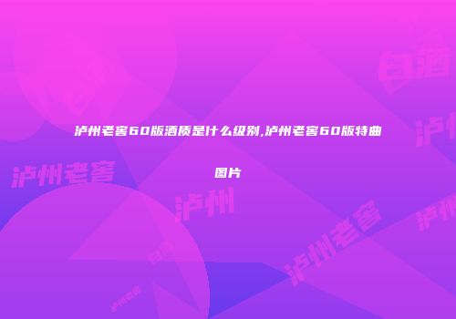 泸州老窖60版酒质是什么级别,泸州老窖60版特曲图片