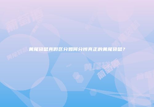 黄尾袋鼠真假区分如何分辨真正的黄尾袋鼠？