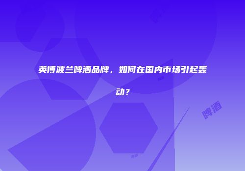英博波兰啤酒品牌，如何在国内市场引起轰动？